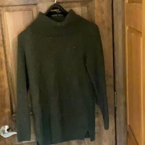 Green turtleneck sweater size petite by Talbots.
